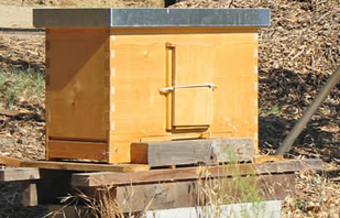 Eâ€™ NATO IL GRUPPO APISTICO